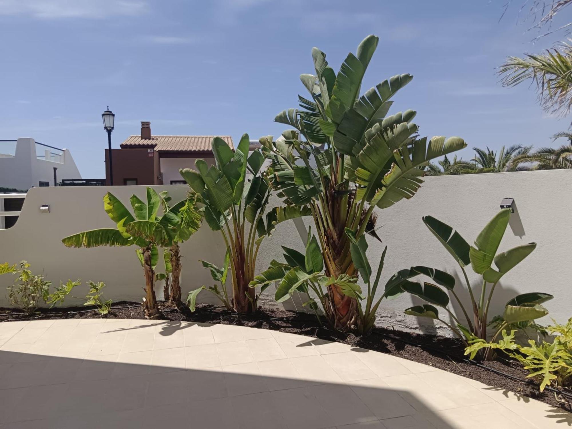 Homeforguest Flat With Large Terrace In Modern Residential Complex With Swimming Pool 칼레타데푸스테 외부 사진